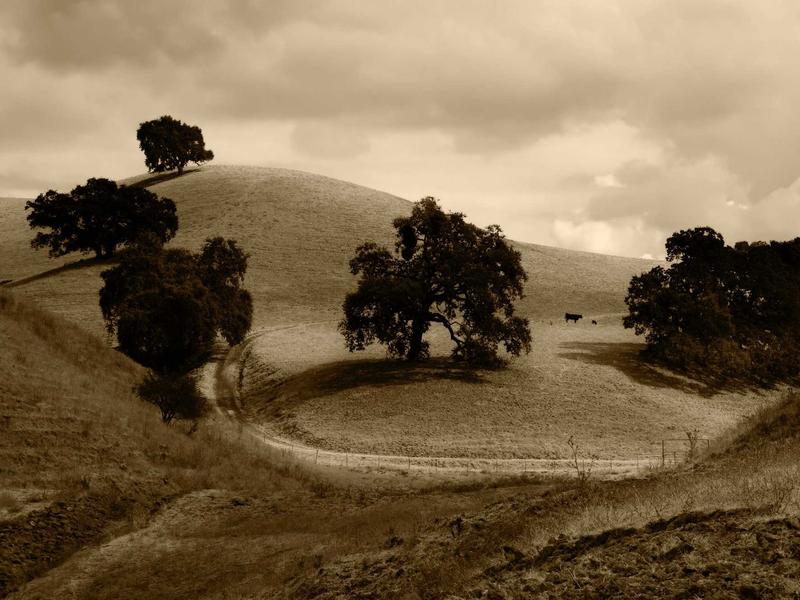 feedback screenshot 1