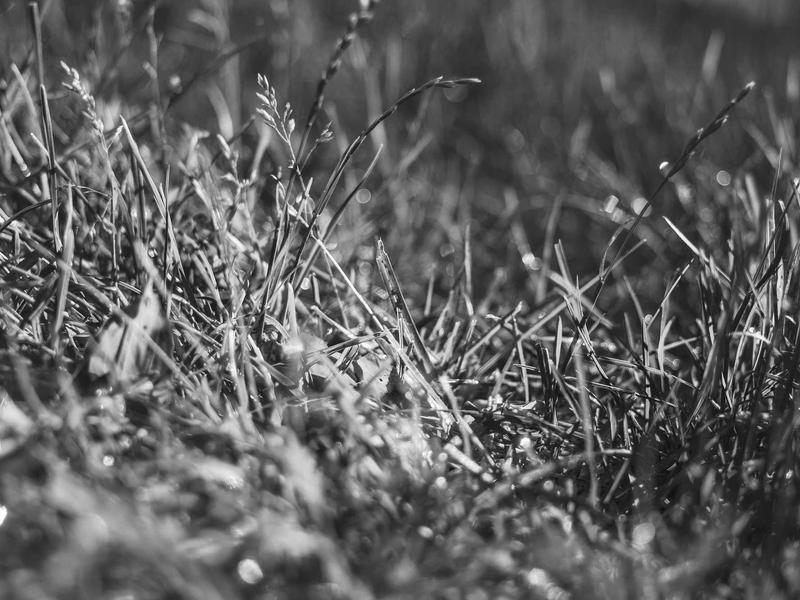 sudoku coffee break screenshot 5